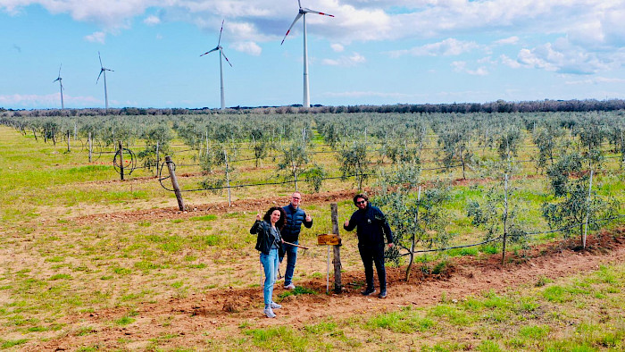 OutOfOffice founders Georg and Chiara plant olive trees in Italy at OlivaMi